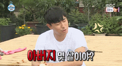 12312.gif
