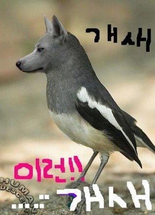 download.jpg