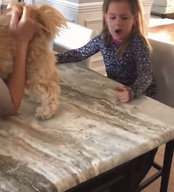 ezgif.com-gif-maker (4).gif