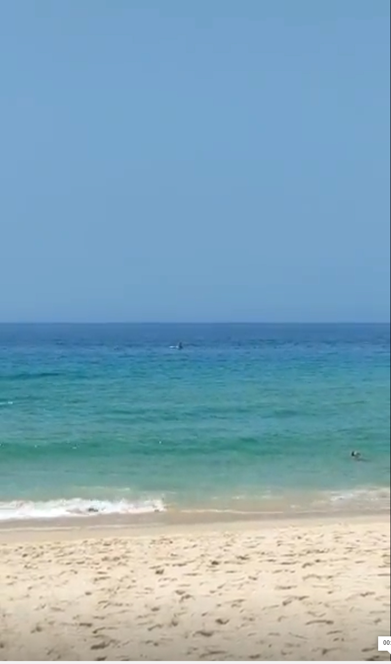 20230814_145850.jpg