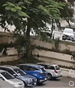 parkingdalin.gif