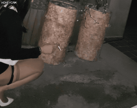 152050357351268.gif