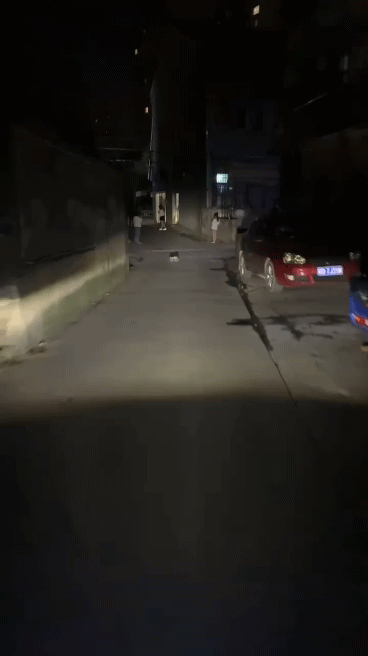 d1c3cffa86d2a2f0e284d70166c13c9b_11561388130_1.gif