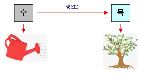 276번(05.수생목).jpg