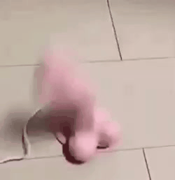 20201008_183232.gif
