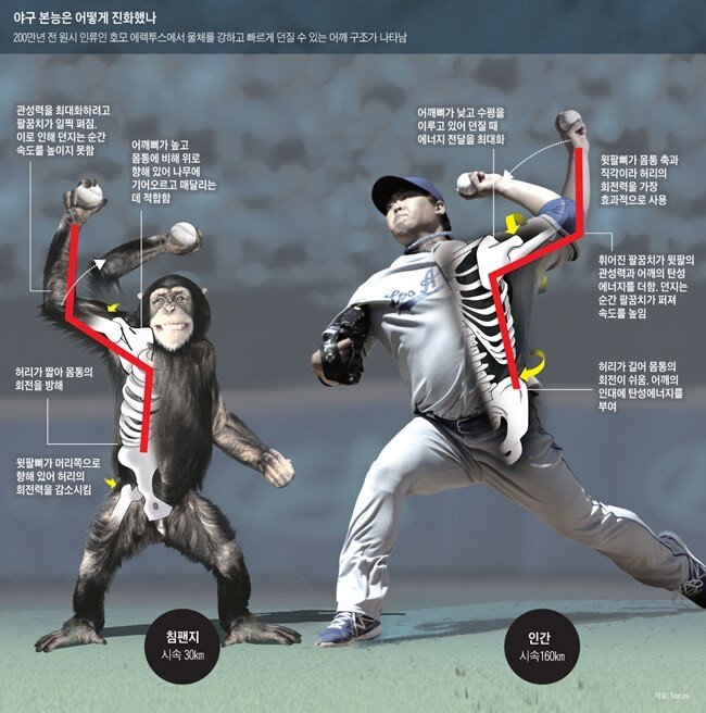 신체1.jpg