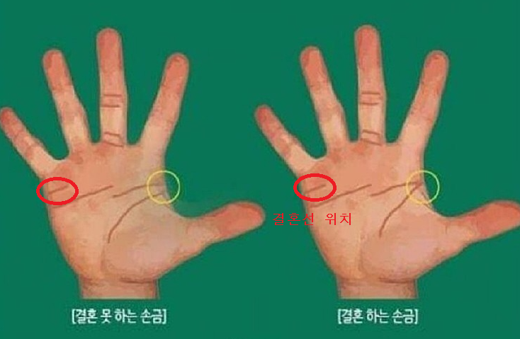 제목 없음.png