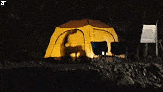 ezgif-3-70479c1cb8bf-min.gif