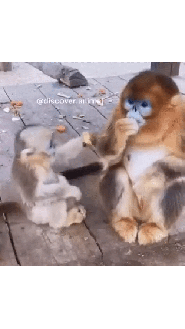 20200728_220046.gif