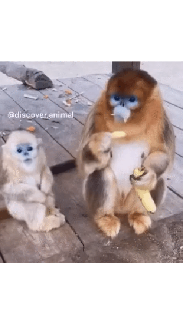 20200728_220000.gif