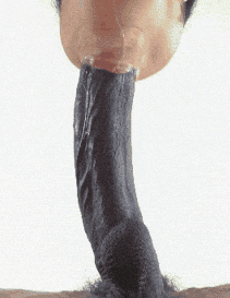 cc348edeac5ce132074b22a8ef96555a.gif