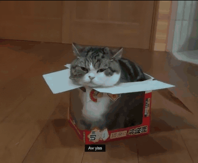 i1735447429.gif