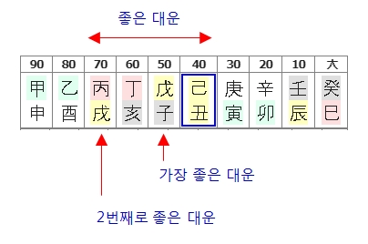 217번(대운 요약).jpg