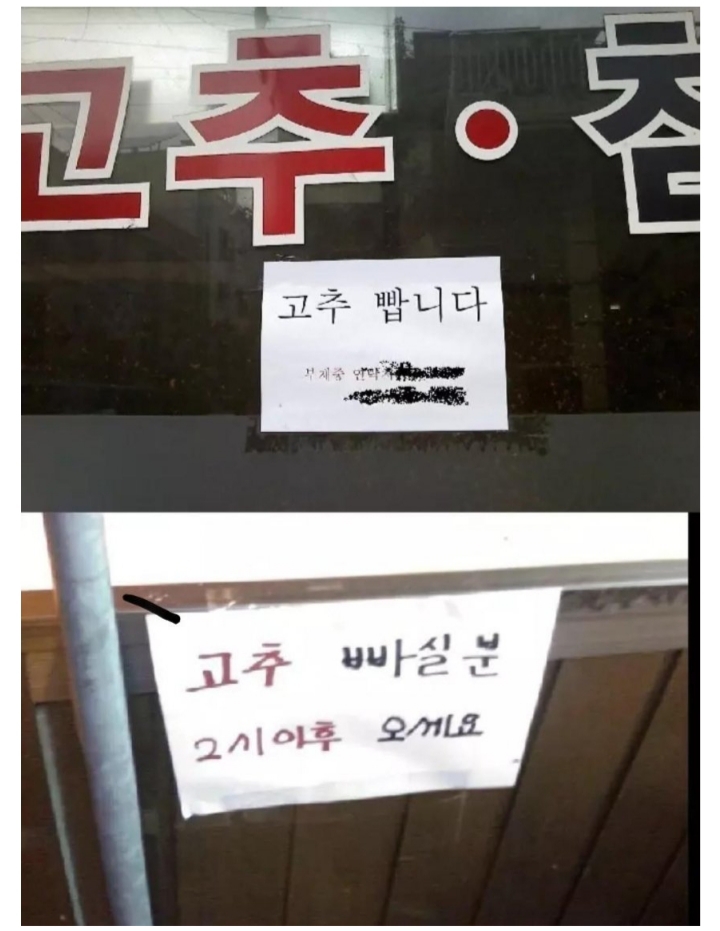 고추빠실분.jpg