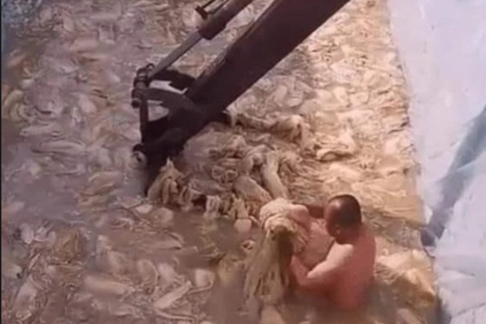 짱깨디쳐라.PNG
