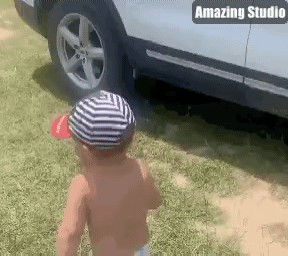 DC.gif