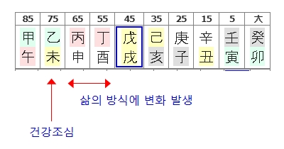 209번(대운 요약).jpg
