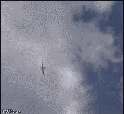 12.gif