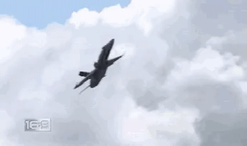 11.gif