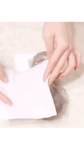 올3.gif