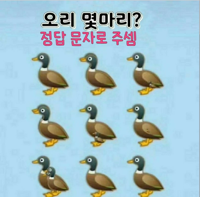제목 없음.jpg