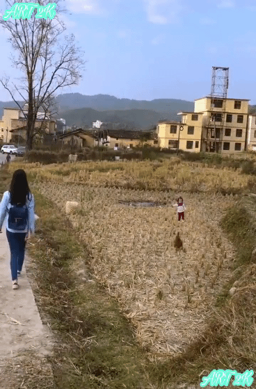 98410dd15db252a74ff6bcc9a3cfdc721807bd38.gif