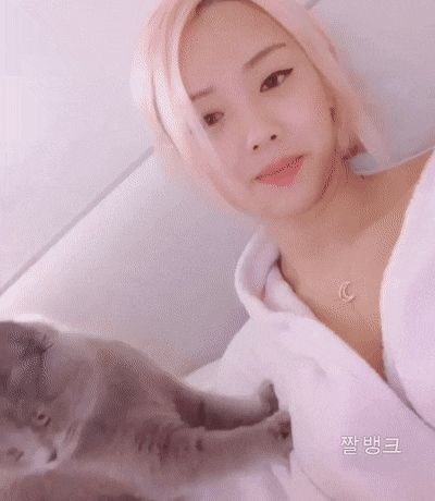 031.gif