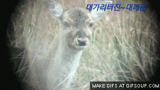 대갈통터진~대깨문.gif