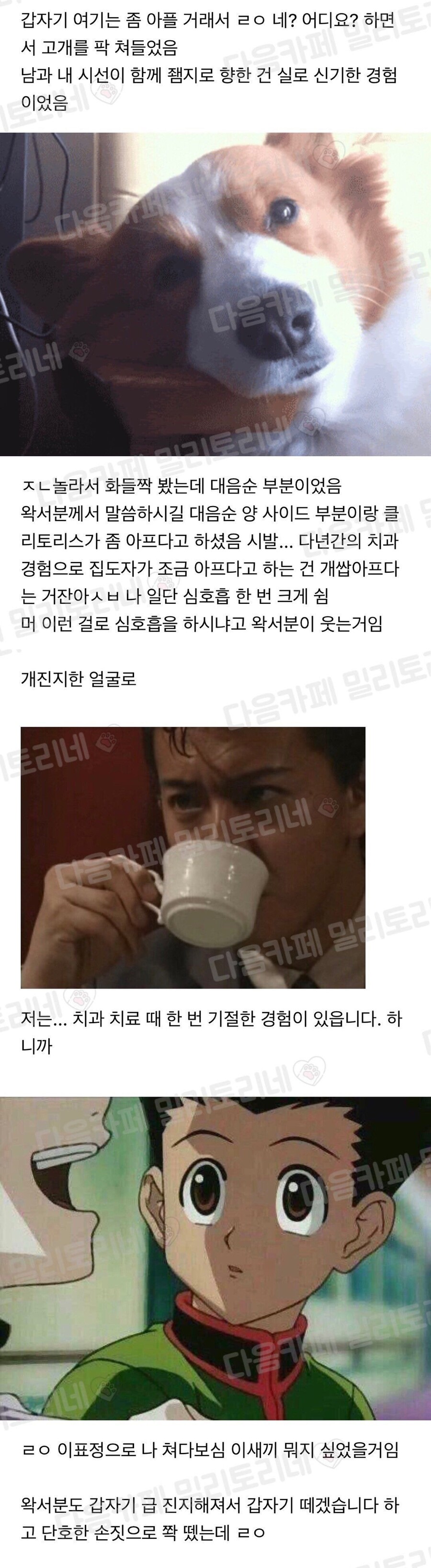 33.jpg
