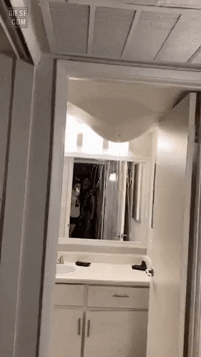 4.gif