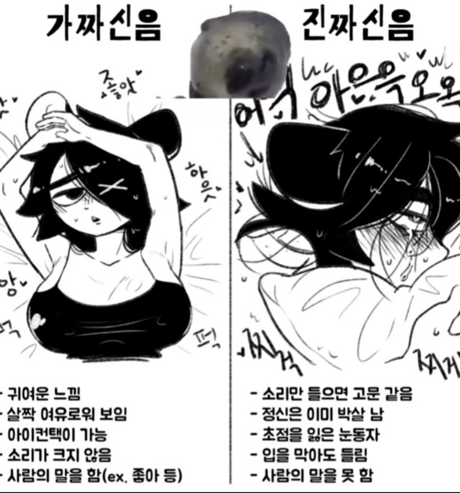 KakaoTalk_20250915_141741145.jpg