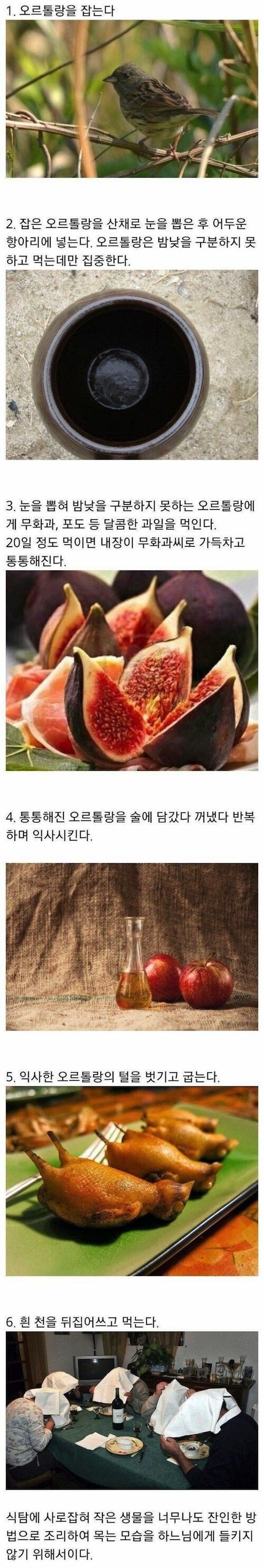 개고기 욕하는 프랑스에서 환장하는 음식.jpg