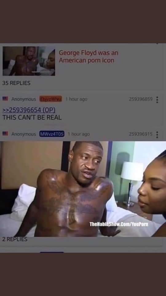 1145d5ca7f436a6e3a9b94c20ca00fef_11263687494.jpeg