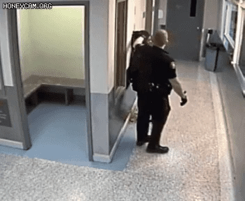 20201028_215234.gif