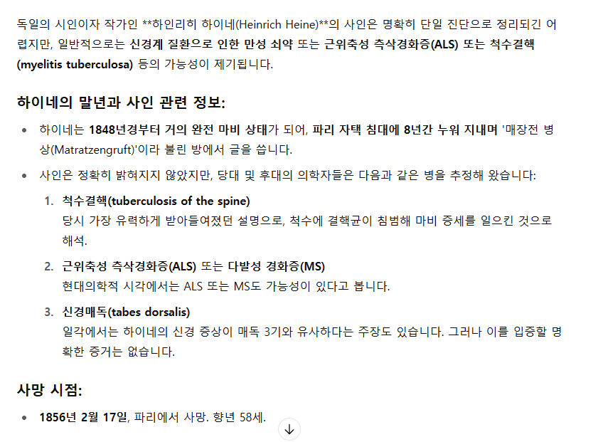 하이네.png