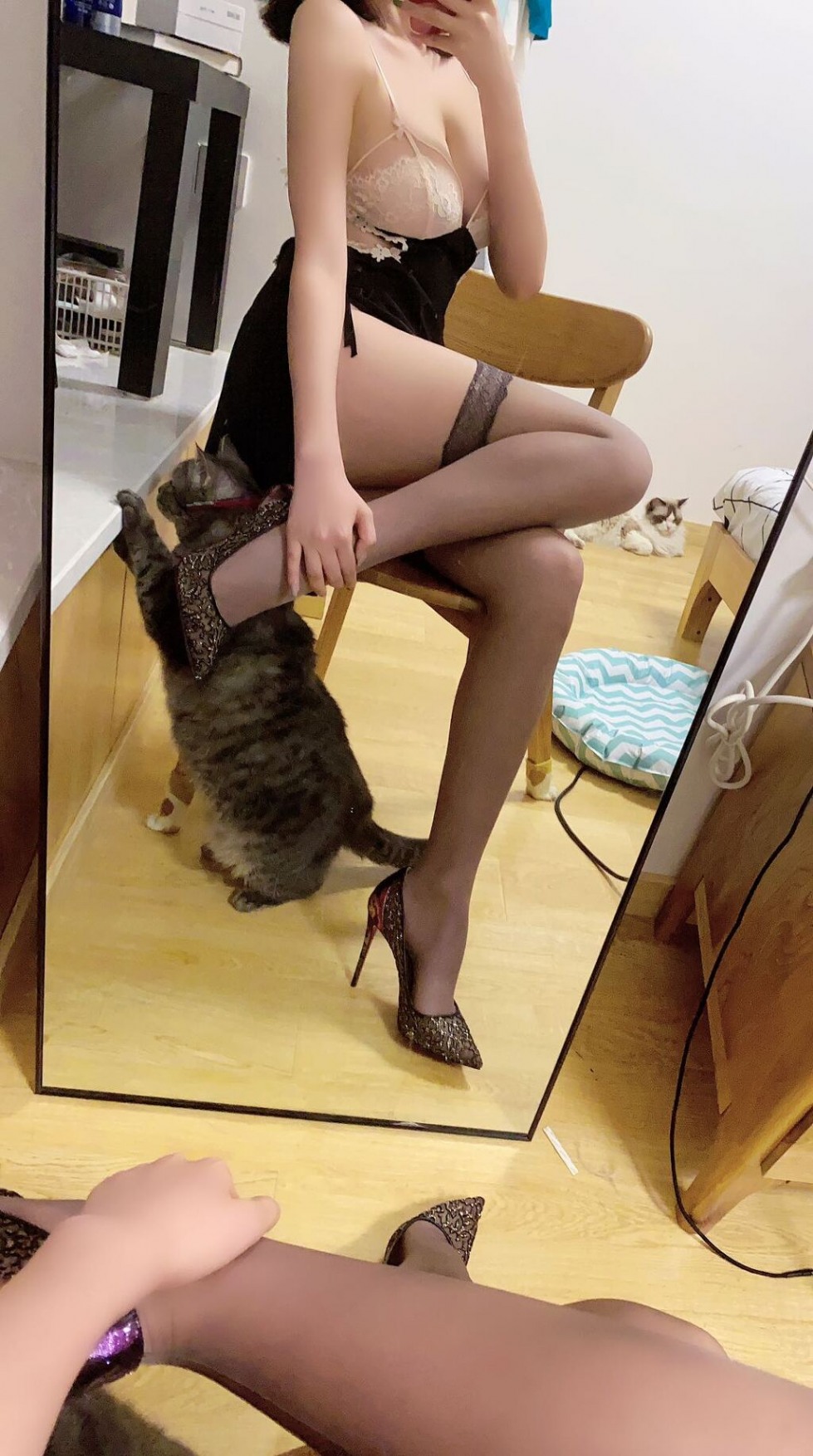 다운로드 (3).jpg