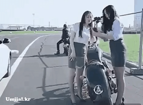 무.gif