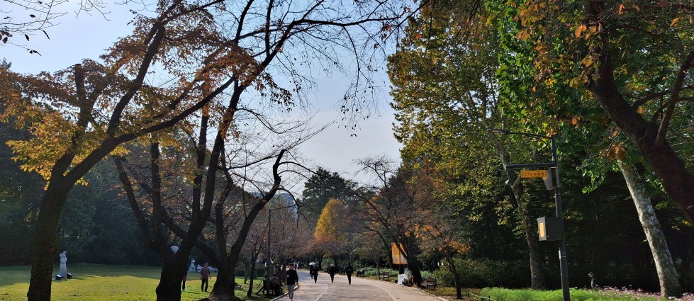20251031_144524~2.jpg
