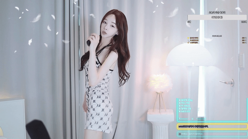 짱아신_터미널01.gif