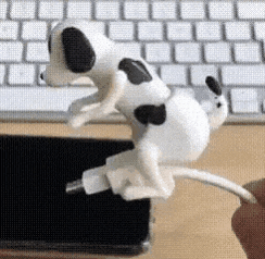 20210511_172902.gif