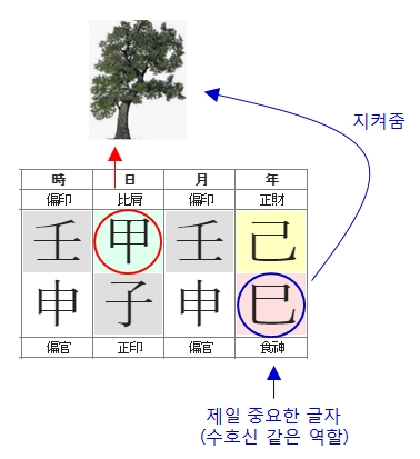 212번(식신 역할).jpg