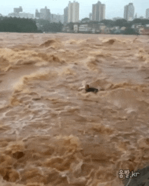 14792FD4-6D12-4580-A3B4-A46215467BD7.gif