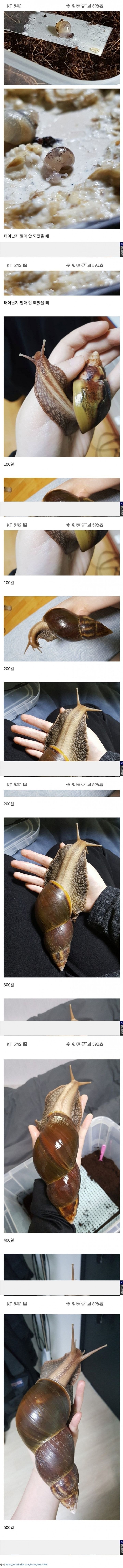 달팽이.jpg