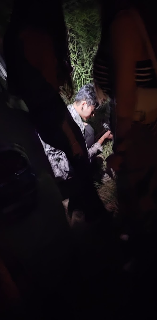 66.png