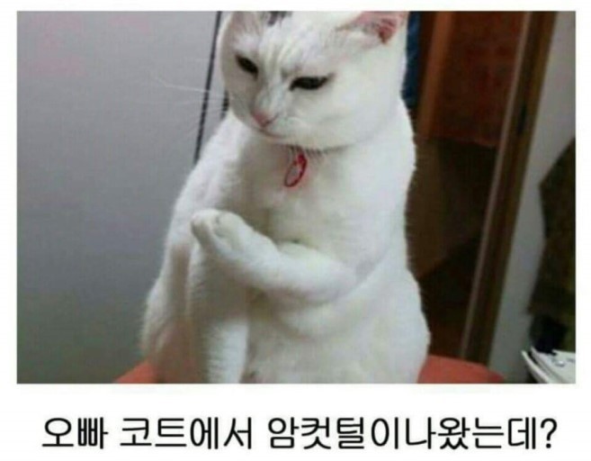 223dtyuu.jpg