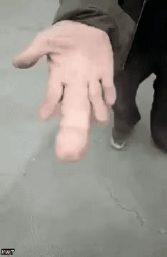 2ab16143fa60e7aae84b732e2ba5d491_11248531731_1.gif