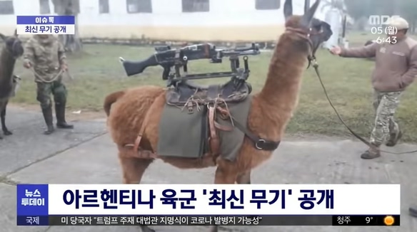 아르2.jpg