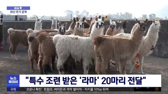아르3.jpg
