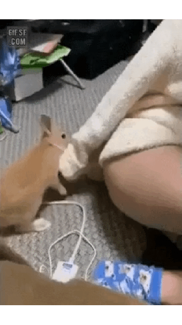 20200523_195202.gif