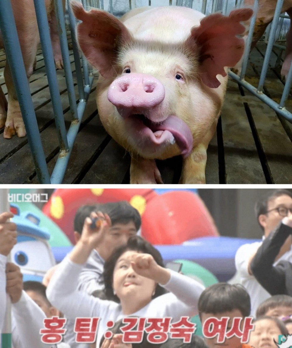 빨갱이는 죽여도되.jpg